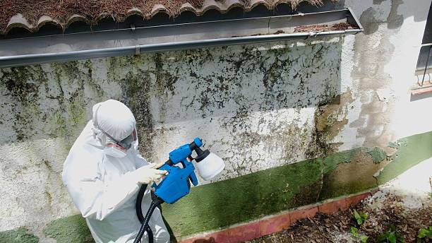 Top rated local Commercial Mold Remediation specialists in Mount Pleasant Mills, PA